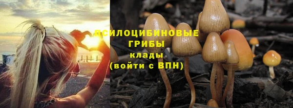 ешки Алзамай