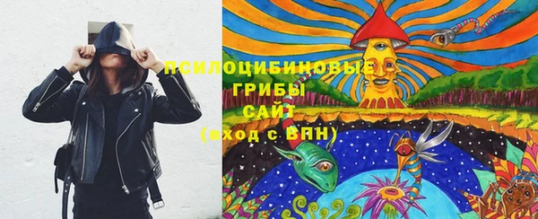 ешки Алзамай
