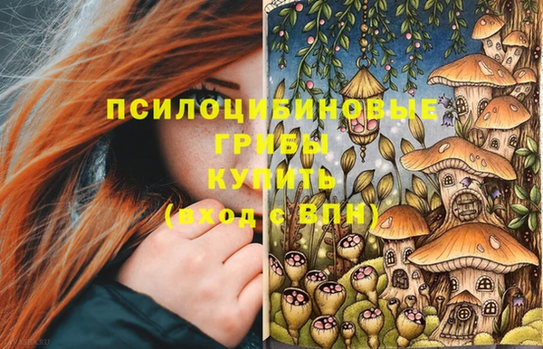 кокаин Алексеевка