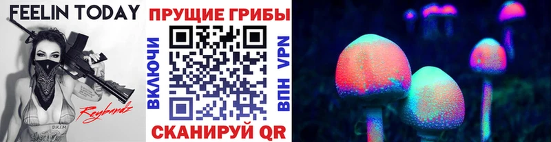 Псилоцибиновые грибы MAGIC MUSHROOMS  Глазов 